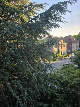 Foto - 1-Zimmer Wohnung im Südviertel zur Untermiete ab 20. 11.