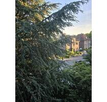 1-Zimmer Wohnung im Südviertel zur Untermiete ab 20. 11. - Münster Mitte-Süd