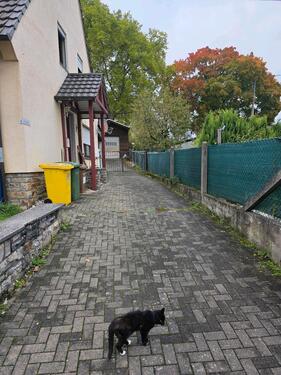 Foto - Einfamilienhaus in Montabaur zum Kaufen