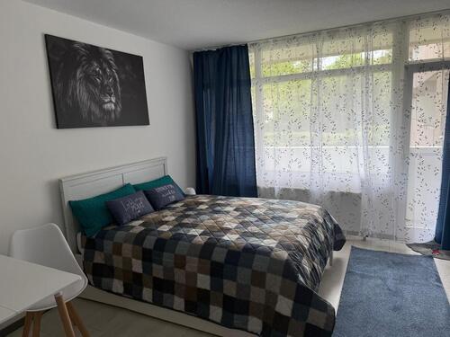 Foto - 1 Zimmer Etagenwohnung zur Miete in Mainz