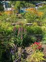 Foto - Schrebergarten - 999,00&nbsp;EUR Kaltmiete, ca.&nbsp; 0,00&nbsp;m&sup2;