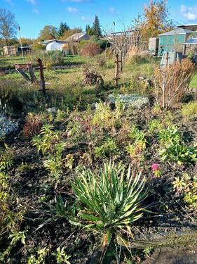 Foto - Grundstück in Neukieritzsch zur Miete