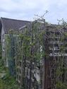 Foto - Grundst&uuml;ck in Hildesheim zur Miete