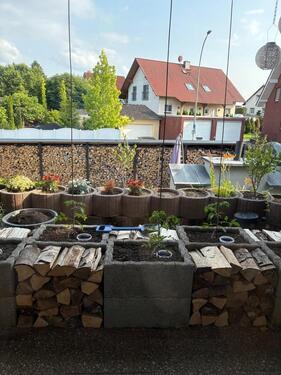 Foto - Einfamilienhaus in Ronneburg