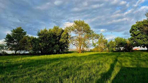 Foto - Grundst&uuml;ck in Erlangen