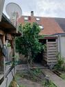 Foto - Einfamilienhaus in Neuhardenberg zum Kaufen
