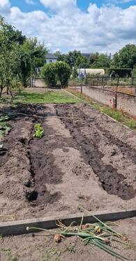 Foto - Grundstück in Berlin