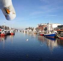2 Zi Mietwohnung in Warnemünde (möbliert) - Rostock Hohe Düne