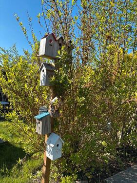 Foto - Schrebergarten Kleingarten - 1.000,00&nbsp;EUR Kaltmiete, ca.&nbsp; 0,00&nbsp;m&sup2;