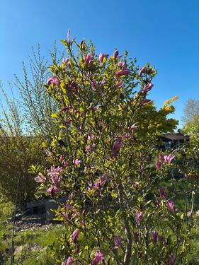 Foto - Grundst&uuml;ck in Metelen