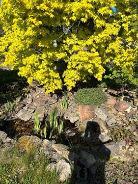 Foto - Grundst&uuml;ck in Metelen zur Miete