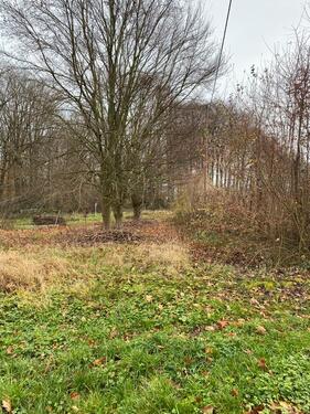 Foto - Pferdekoppel, Gartenland, Grabeland, Freizeitwiese, Weideland,