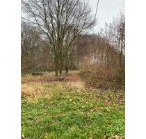 Pferdekoppel, Gartenland, Grabeland, Freizeitwiese, Weideland, - Witten Heven