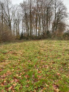 Foto - Grundstück in Witten zur Miete