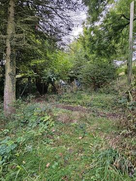 Foto - 1600 m² Grundstück in Solingen – ideal für Streuobstwiese, Gar