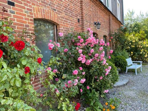 Foto - andere zur Miete in Stoltebüll