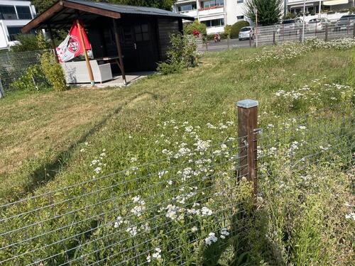 Foto - Grundst&uuml;ck zur Miete in Bonn