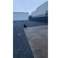 Gewerbefläche ca. 560 m² – eingezäunt, mit Strom & Internet - Brühl