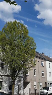 Foto - Ansprechende 3-Zimmer-Wohnung in Duisburg Friemersheim