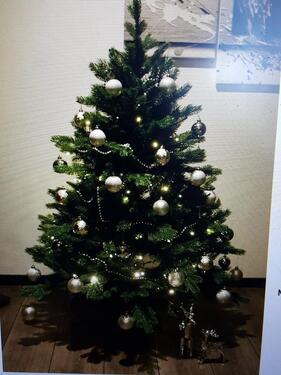 Foto - Weihnachten im eigenen zuhause, Bungalow zu verkaufen,