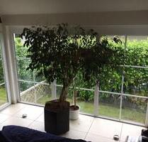 Ruhige EG-Wohnung mit Garten in Gießen(Klein-Linden) zu vermieten Ruhige EG-Wohnung mit Garten in Gießen(Klein-Linden) zu vermieten