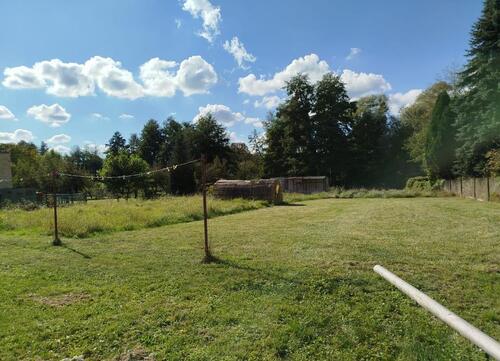 Foto - Einfamilienhaus in Potsdam zum Kaufen
