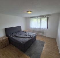 Gemütliche Wohnung in der Natur - Birkenfeld