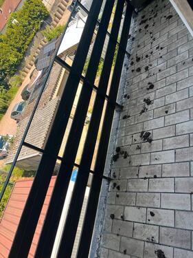 Foto - Doppelhaushälfte in Völklingen zum Kaufen