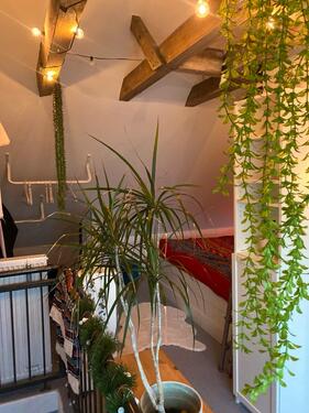 Foto - Etagenwohnung zur Miete in Rheine