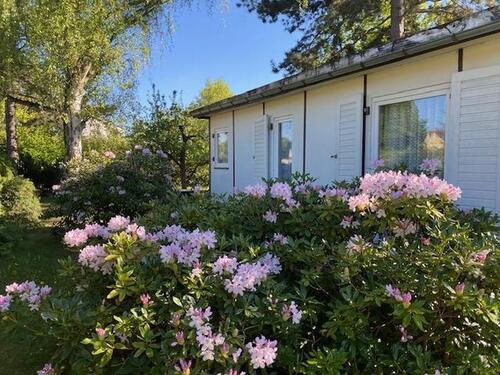 Foto - Grundst&uuml;ck in Berlin