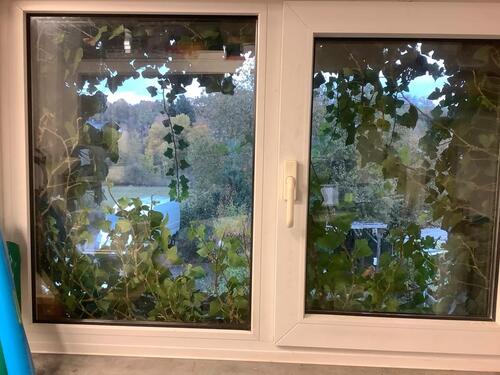 Foto - Gewerbe Wohnung Taunusstein Hahn