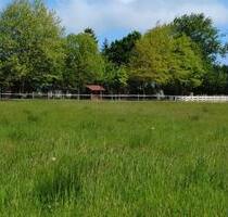Resthof in Alleinlage für Pferdeliebhaber - Hanerau-Hademarschen