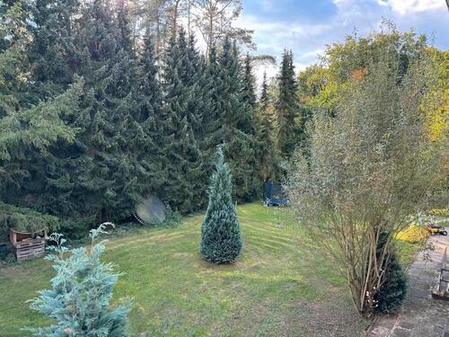 Foto - 2 Zimmer Etagenwohnung in Rethem (Aller)