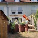 Foto - 5 Zimmer Reihenhaus zum Kaufen in Riedstadt