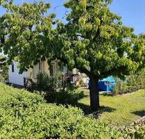 Kleingarten Pachtgarten - 4.600,00&nbsp;EUR Kaltmiete, ca.&nbsp; 0,00&nbsp;m&sup2; in Brandenburg an der Havel (PLZ: 14772) Görden