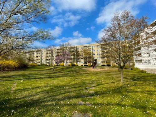 Foto - 3 Zimmer Etagenwohnung in Halle (Saale)