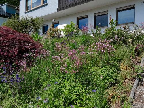 Foto - Einfamilienhaus zum Kaufen in Waldbrunn (Westerwald)