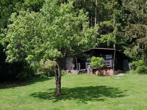 Foto - Einfamilienhaus in Waldbrunn (Westerwald) zum Kaufen