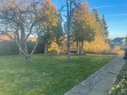 Foto - 5 Zimmer Einfamilienhaus in Altenmedingen