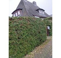 Haus zu vermieten in Winsen (Luhe)