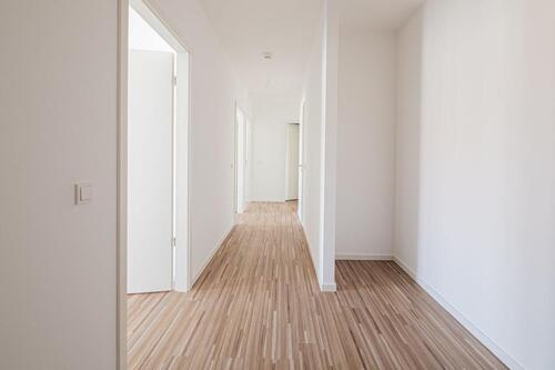 Foto - 4 Zimmer Etagenwohnung zur Miete in Dresden