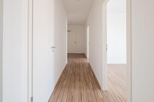 Foto - 4 Zimmer Etagenwohnung in Dresden