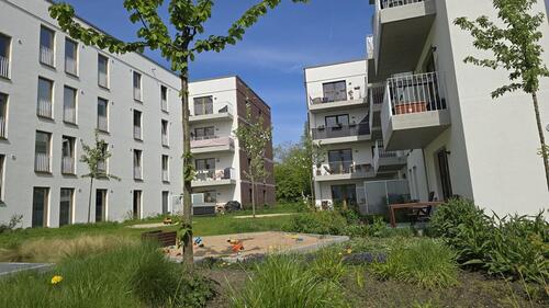 Foto - Keine Anrufe + Anfragen nur schriftlich + Dachterrasse + Borchert 2 Whg. 09.41