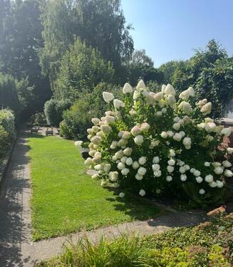 Foto - Einfamilienhaus zum Kaufen in Mönchengladbach