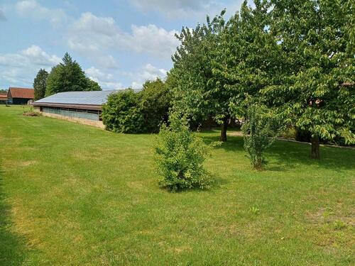 Foto - Einfamilienhaus zum Kaufen in Boizenburg/Elbe
