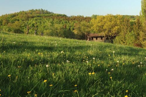 Foto - 3 Zimmer Einfamilienhaus in Bad Lauterberg im Harz