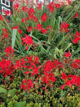 Foto - 2 Zimmer Wohnung möbliert Riepe EmdenAurich