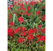 2 Zimmer Wohnung möbliert Riepe EmdenAurich - Ihlow