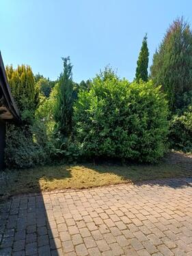 Foto - Einfamilienhaus in Miltenberg