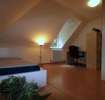 WG-Zimmer in schönem Altbau am Main und in Uni nähe - Würzburg Steinbachtal